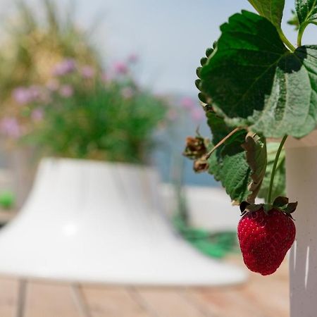 Dreamy Aegean View Atenas Exterior foto